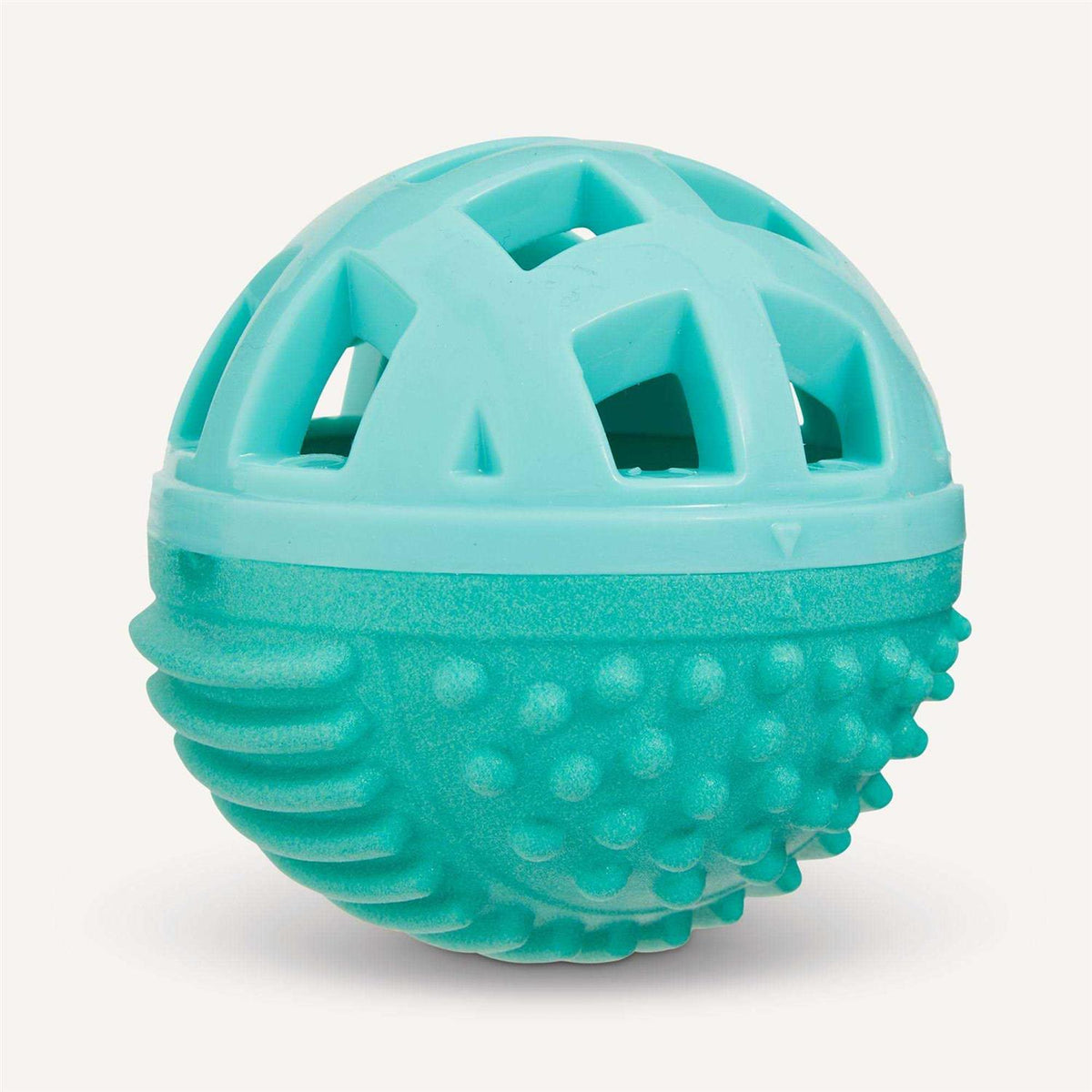 Chew Well Ball Treat Dispenser Dog Toy R4077