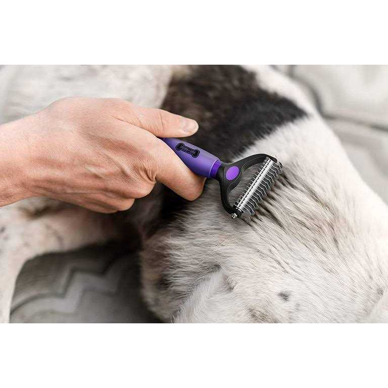 Grooming Kit for Cats and Dogs H3591