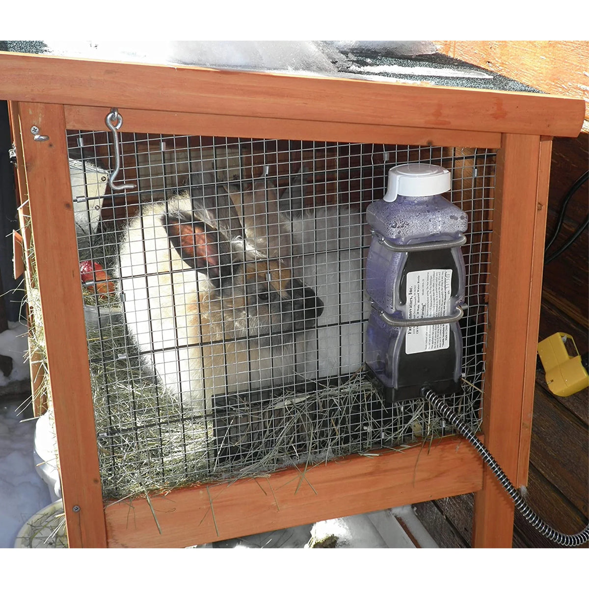 Heated Water Bottle for Rabbits, 32-Ounce, 20-Watt I555261