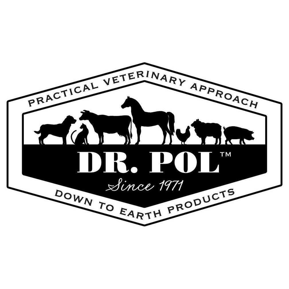 High Energy Chicken Recipe Dry Dog Food F612