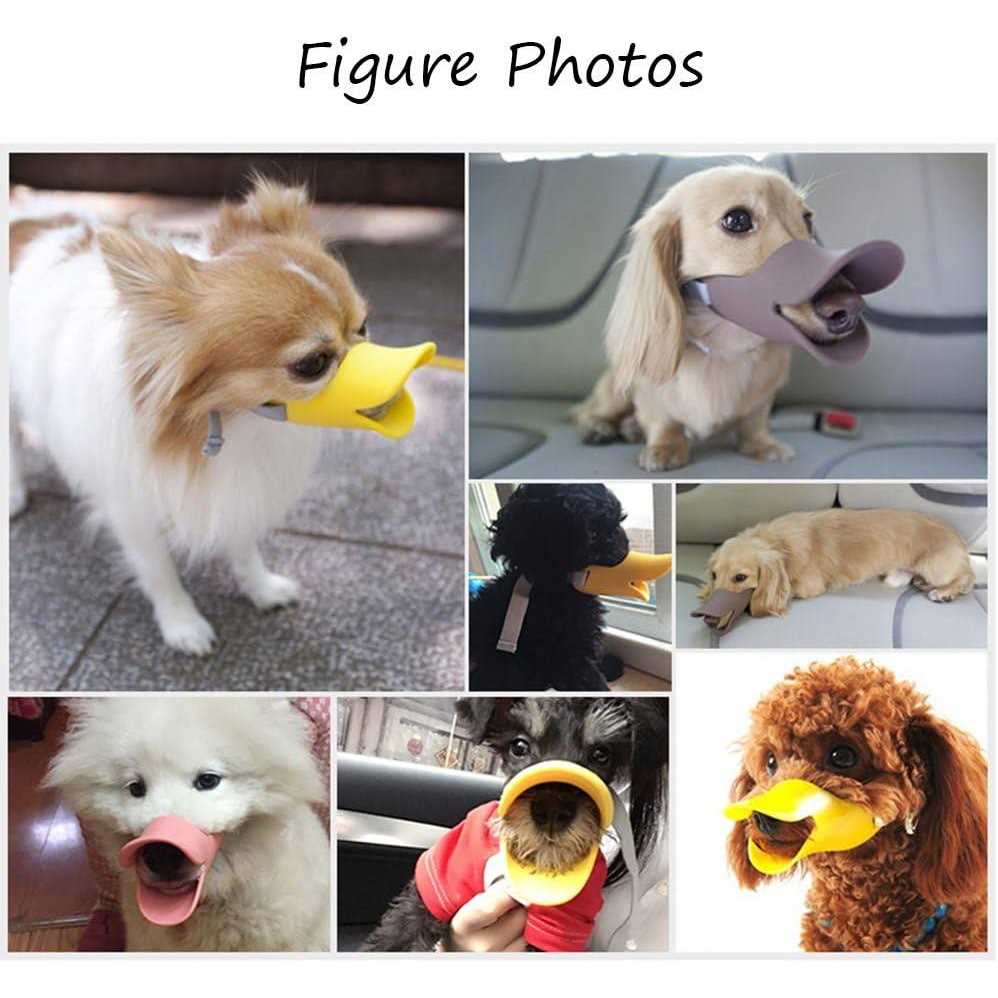 Anti Bite Dog Mouth Covers Muzzle Masks Pet Mouth Set K785405
