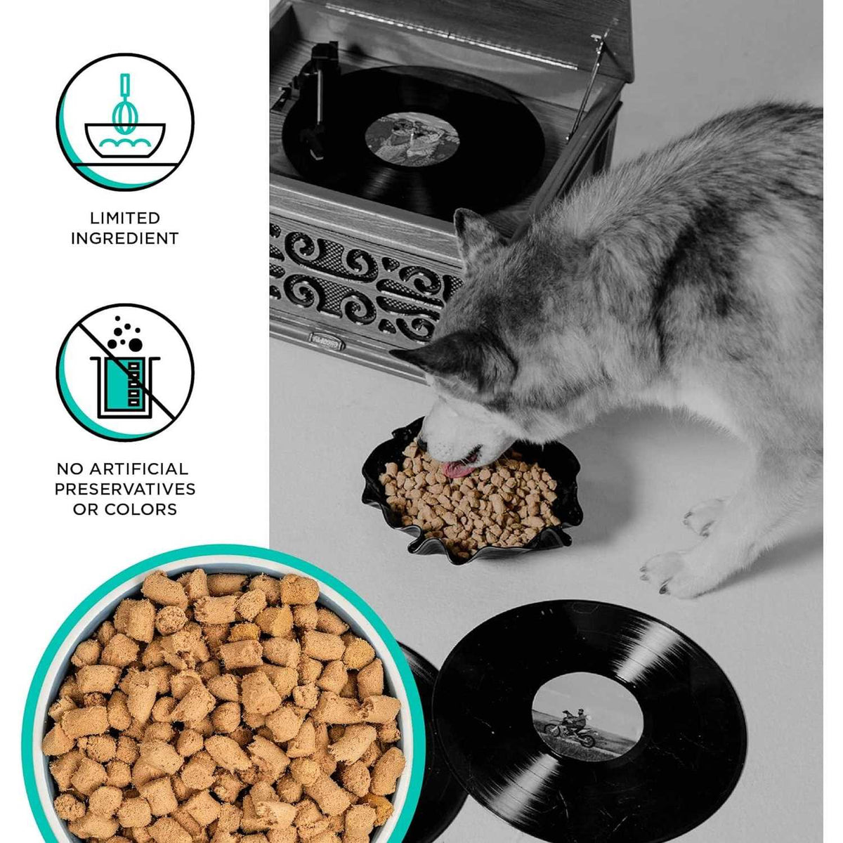 Freeze Dried Duck Recipe Dog Food T162