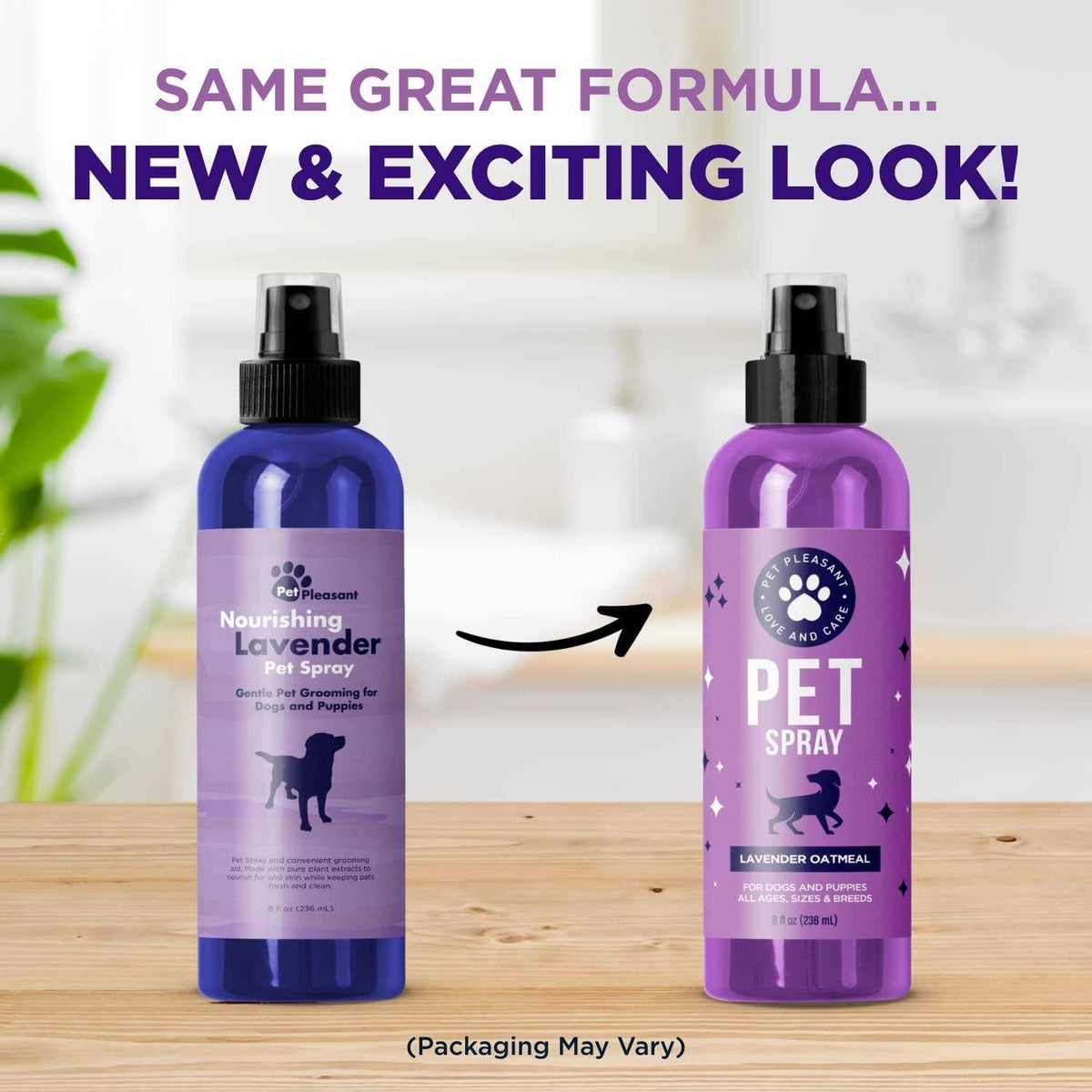 Lavender Oil Dog Deodorizing Spray K958