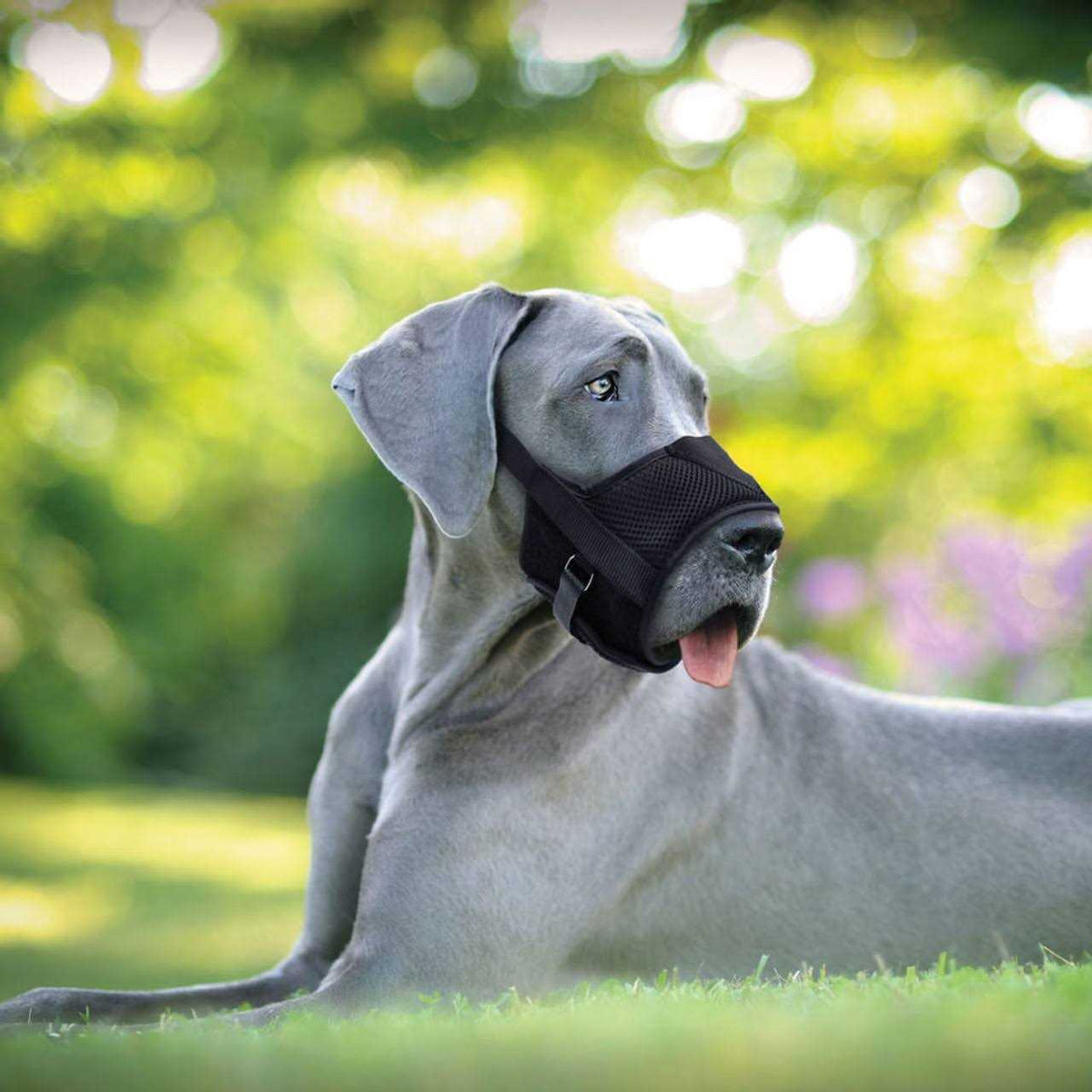 Adjustable Dog Muzzle W60056
