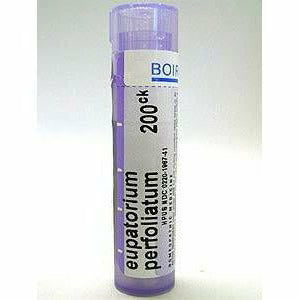 Eupatorium perfoliatum 200CK 80 plts O66225