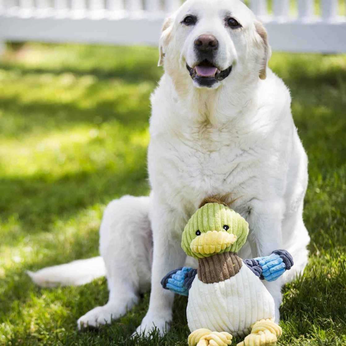 Ruff-Tex Dog Toy A20733