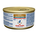 Cat Canned Food U631295
