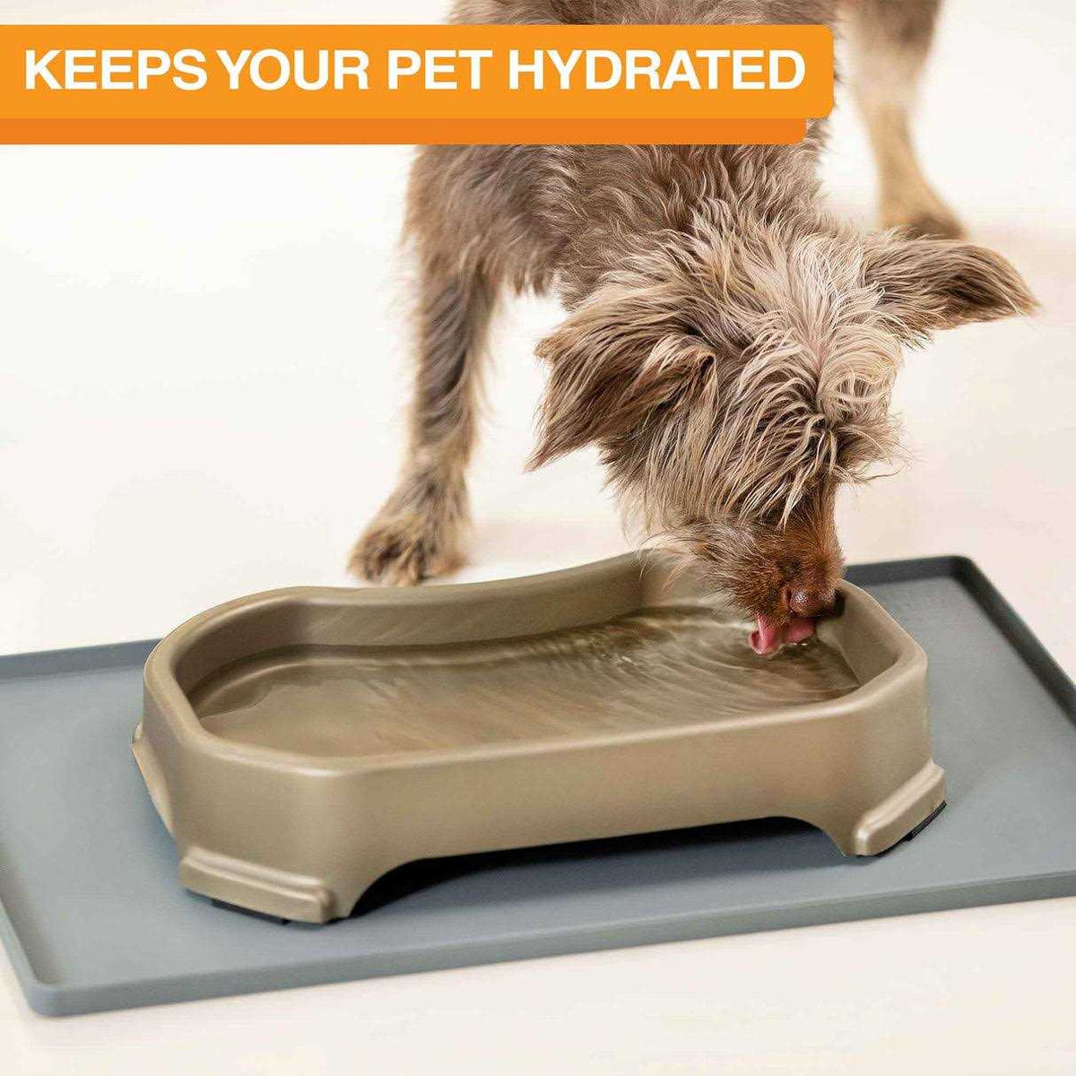 Dog Water Bowl with Leg Extensions B8799