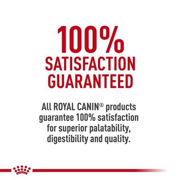 Adult Feline Health Nutrition Morsels in Gravy Cat Food Y4244