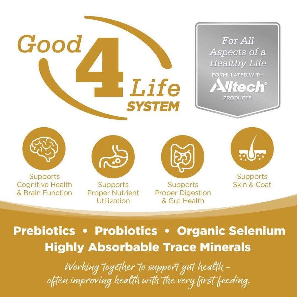 Grain Free Dog Food X140