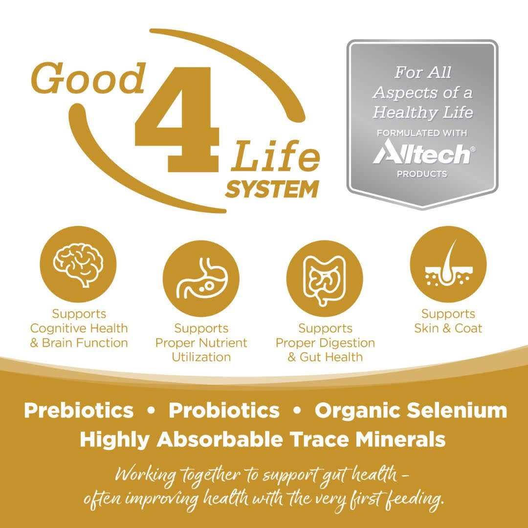 Grain Free Dog Food X140